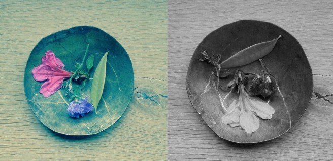 Screen Shot 2017-04-21 at 19.28.48